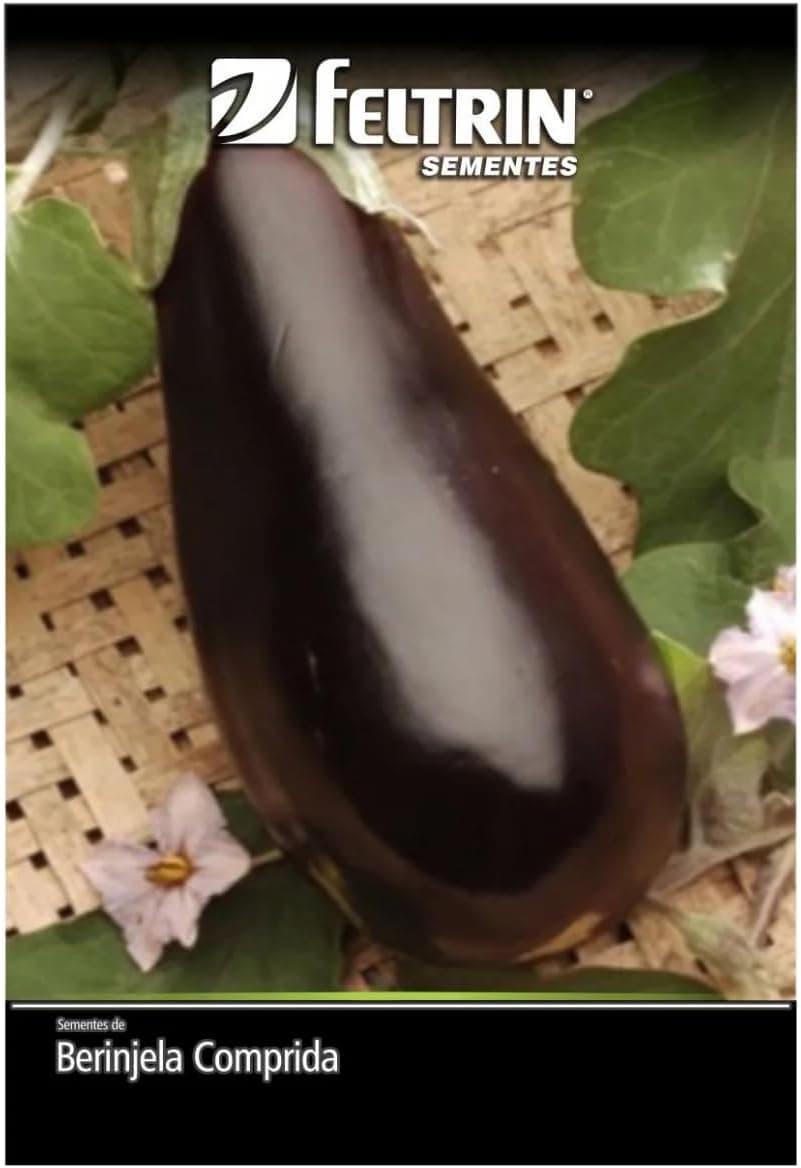 Kit 4 Sementes Legumes Horta Em Casa Jardins Vasos (Berinjela, Beterraba, Brócolis, Couve)