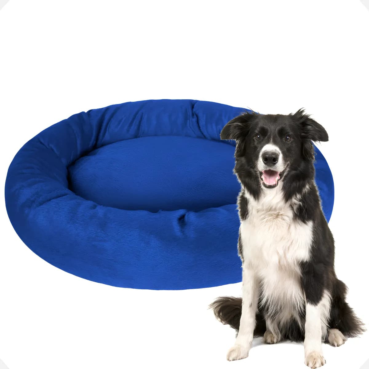 Caminha Pet Redonda Aleplush G - Análise Completa 2024